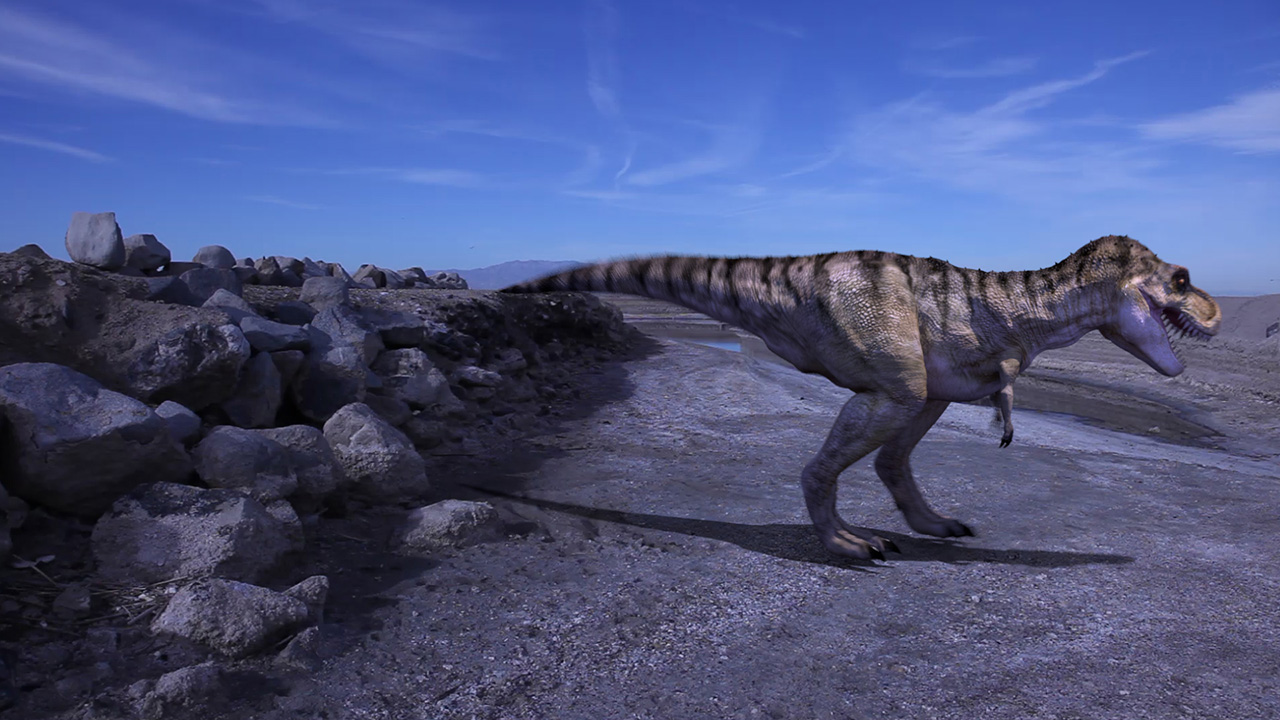 tyrannosaurus circular walk
