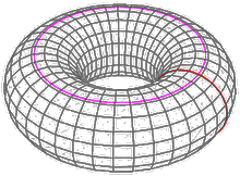 torus